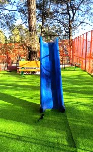 उपायुक्त की पहल: संकटमोचन मंदिर पार्क को मिला नया जीवन